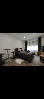 Élégant studio avec jacuzzi - Saint-Paul-de-Fenouillet - 9