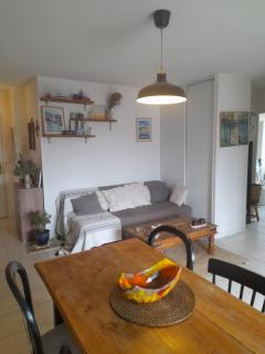 Superbe Appartement Terrasse Plein Sud - Urrugne - 4