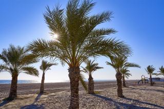 Costa Blanca Holiday Rental Tamarit Beach II - Santa Pola - 0