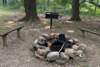 Forest Cabin #1 at Camp Because I Said I Would - 3