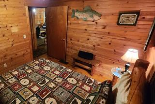 Forest Cabin #3 at Camp Because I Said I Would - 4