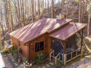 Doe Run Cottage at Eagles Nest - Banner Elk - 6
