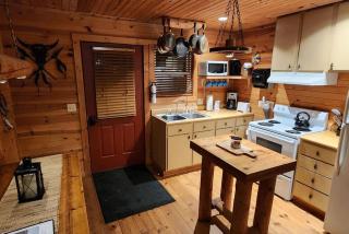 Forest Cabin #2 at Camp Because I Said I Would - 9