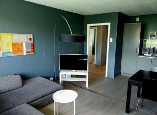 Comfortable apartment in Oslo with three bedrooms - Grorud - 6