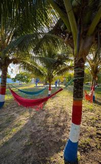 Chácara Amsterdam - Aracaju - 1