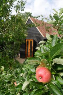 The Little Orchard - Watlington - 9
