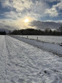 Kniepsand - Langenhorn - 7