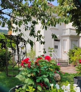 Gîte Le Marronnier, parking et terrasse au calme, entre Colmar-Riquewihr et Obernai, vue sur espaces verts et coteaux d Alsace, route du vin-châteaux - 2
