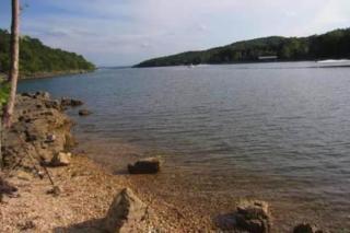The Cove 20-1 By SDC, Big Deck, Pool, Hot Tub, By Lake - Branson - 2