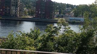 Worthwhile a visit - 7