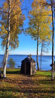 Hara Sadama iglukämping - Hara - 0