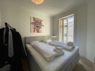 Luxury apartment in Vestebro - Copenaghen - 4