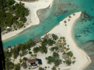 Tikehau Paradise - - 3