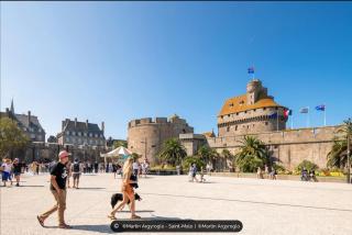 Superbe t2 lumineux refait à neuf - Dinard - 8