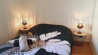 La Plage du Golf double terrasse 2 chambres Piscine WIFI - ROSSIconciergerie - Linge inclus - 4