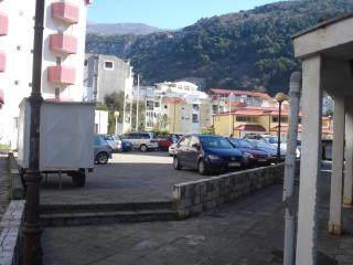 Apartment Nedovic - Budva - 3