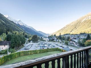 Charmant appartement près pistes et centre, WiFi, parking privatif - FR-1-343-193 - Chamonix-Mont-Blanc - 9