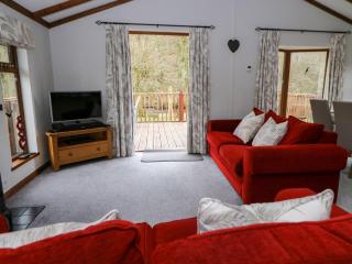 2 Riverside Lodge - Cenarth - 8
