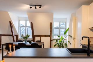 Penthouse in the heart of Copenhagen - Copenaghen - 2