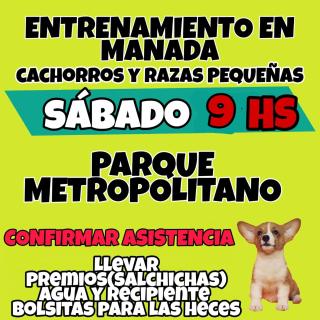 La cabaña de Tito de 36 m2 - Ciudad Lujan de Cuyo - 7