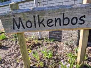 Molkenbos Terschelling - 8