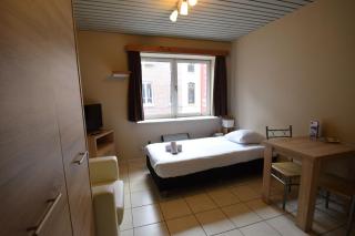 Room in Studio - Condo Gardens Leuven - Budget Studio Single - Lovaina - 7