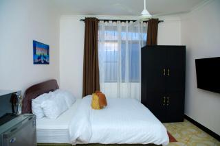 Lion's Den Studio Apartment-Roar with Comfort - Dar es Salaam - 5