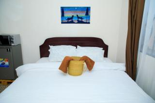 Lion's Den Studio Apartment-Roar with Comfort - 3