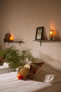 Casa Botanica - 6