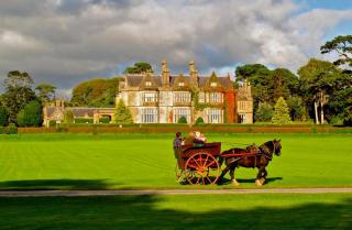 19th Green Guesthouse - Killarney - 9