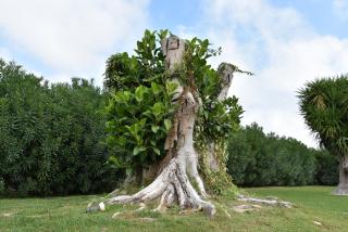 Villa Carrubo Peroscia by StHey - 7