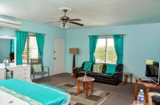 Beyond Sunset Villas -2BR Beachfront with Pool & Ocean Views - Treasure Beach - 8