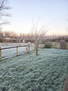 Sunrise Shepherd's Hut - 2
