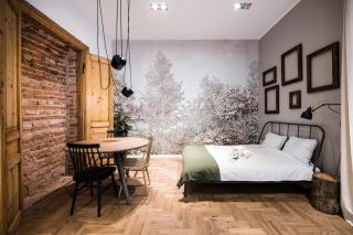 Wawel Castle across the street! Ozonated Apartment - Krakow - 0