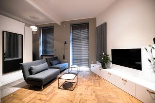 Wawel Castle across the street! Ozonated Apartment - Krakow - 1