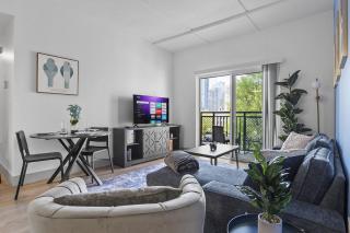 Beautiful Blue Spacious Free Parking View Gym - Charlotte - 4
