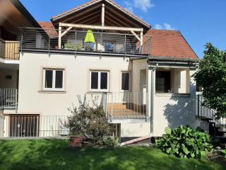 Apartment-Haus Gundelfinger - 1