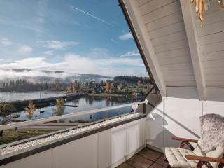 Villa Sunside Appartements - Schluchsee - 3