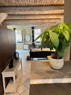 Grand Loft et Terrasse Privée - Coeur Historique d'Aix ! - Aix-en-Provence - 6