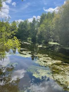 L' otentic - 8