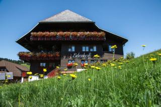 Erlenhof - Todtnau - 0