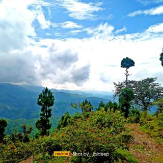 Rameshwari Homestay - Lansdowne - 9