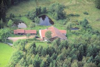 Gites De La Racine - Girmont-Val-dʼAjol - 0