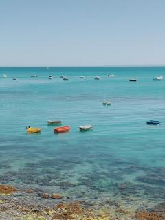 Amazing sea view modern apartment Port de la Houle - 5