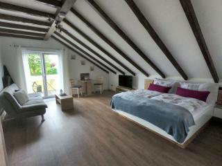 Apartment Bodenseesonne - Immenstaad am Bodensee - 8