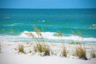 Sea Club #304 - Gone Coastal - Clearwater Beach - 5