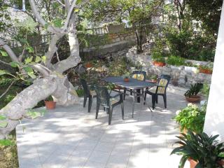 Apartments in Crikvenica 5385 - Crikvenica - 2