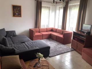 Holiday home in Balatonfenyves 18430 - Balatonfenyves - 9