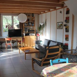 Logis de Brocéliande - Tréhorenteuc - 5