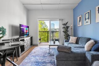 Beautiful Blue Spacious Free Parking View Gym - Charlotte - 6
